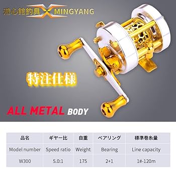 明洋（ming yang）w300l オールシルバーカラー 中華アンバサダーと呼ばれて【Ming Yang W300】 – Riverside